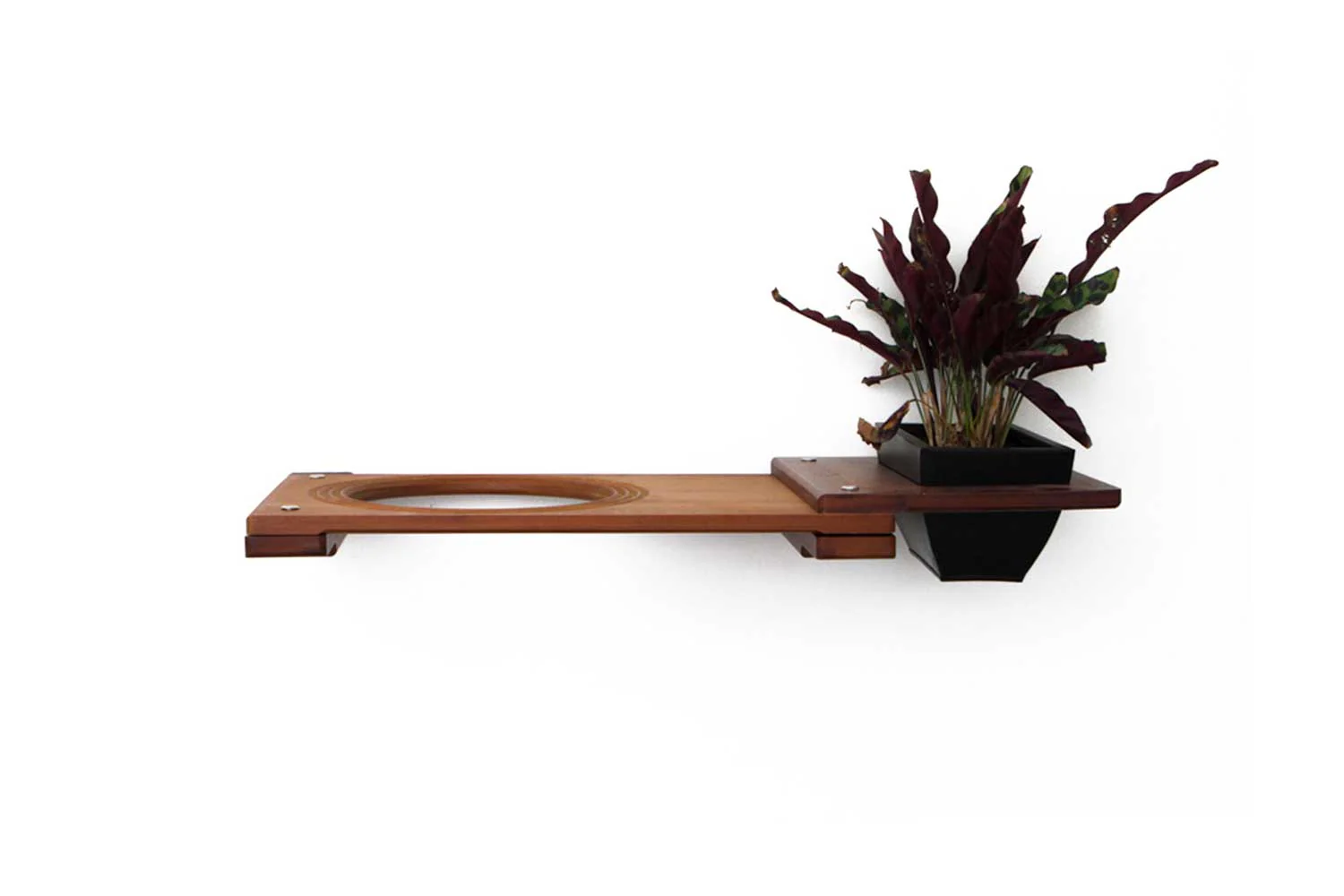 Cat Plant Stand for Wall - Image 24