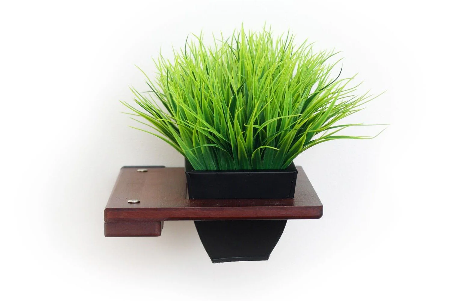 Cat Plant Stand for Wall - Image 26