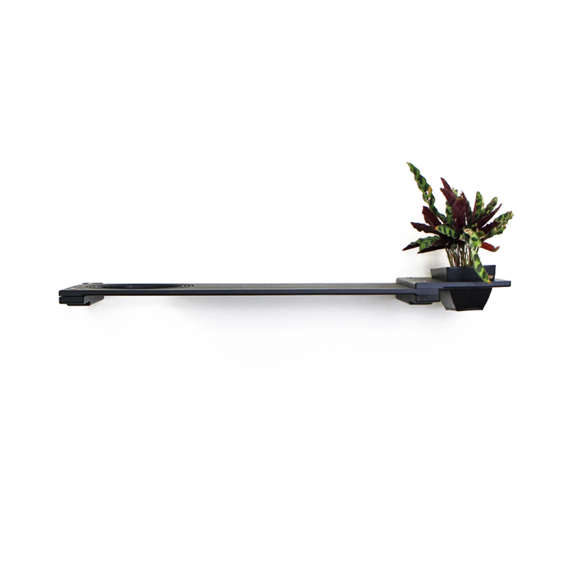Cat Plant Stand for Wall - Image 27