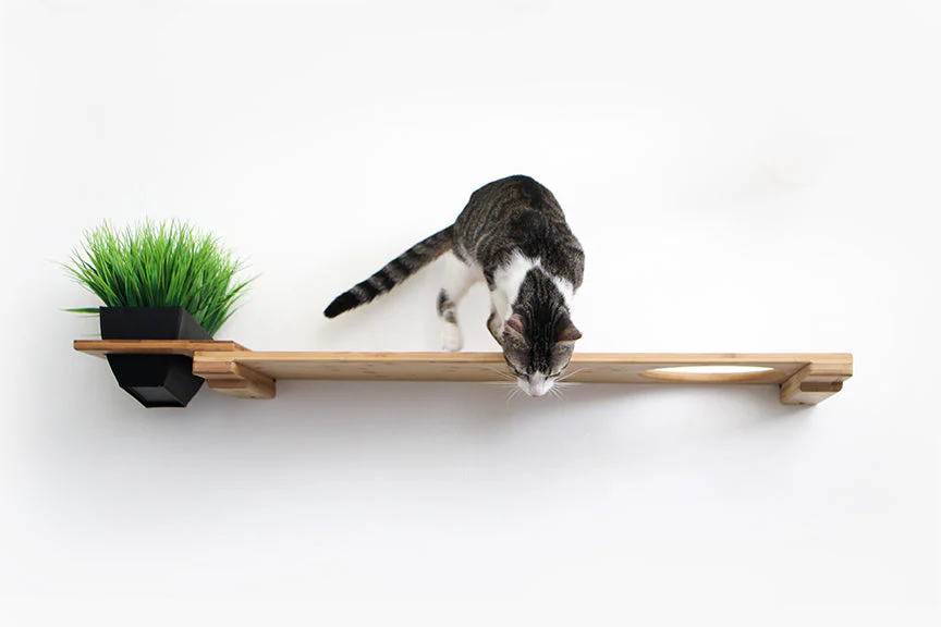 Cat Plant Stand for Wall - Image 3