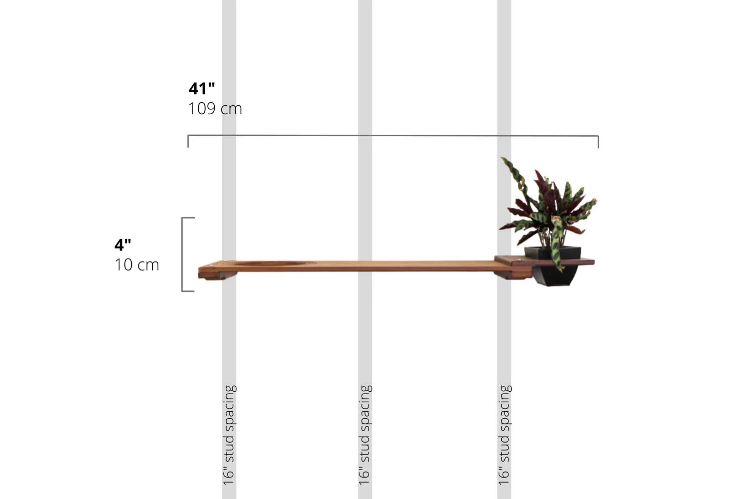 Cat Plant Stand for Wall - Image 30