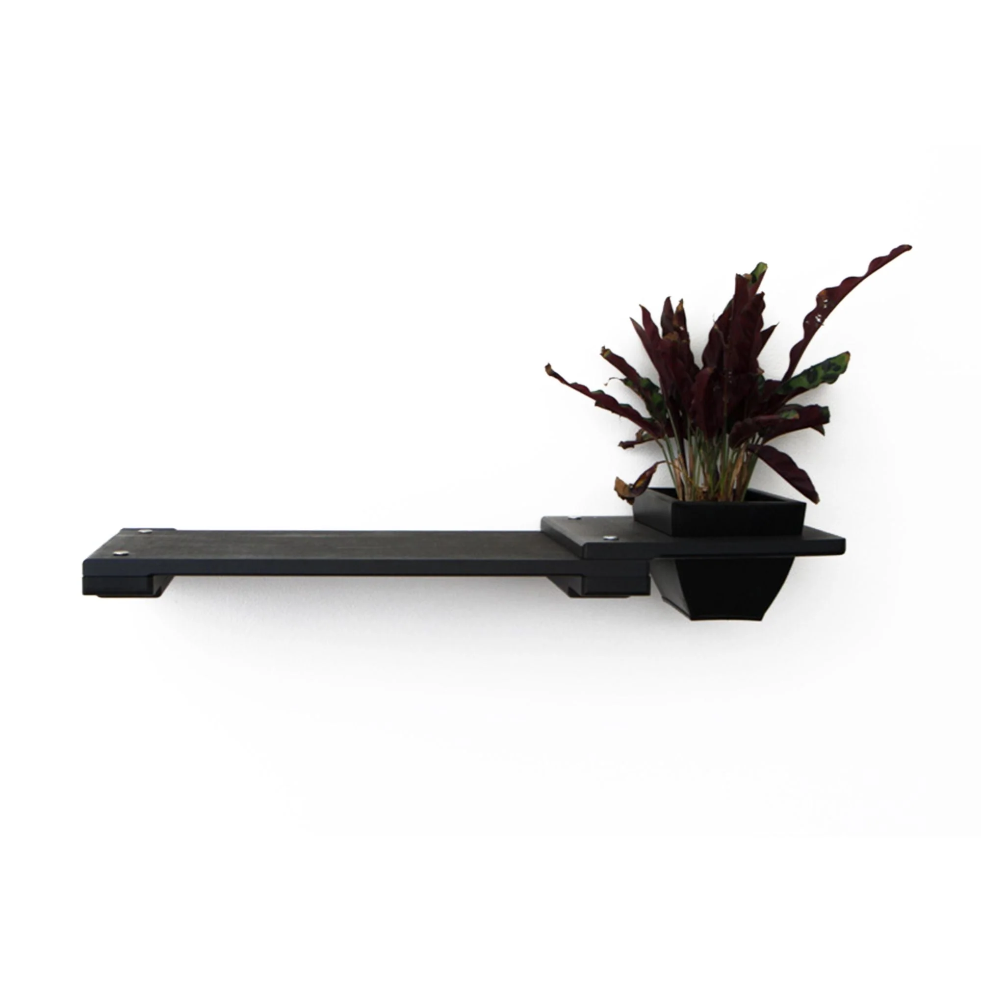 Cat Plant Stand for Wall - Image 32