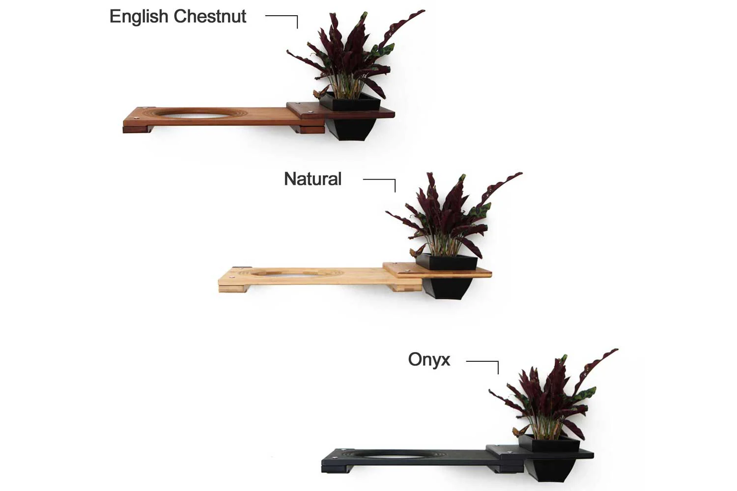 Cat Plant Stand for Wall - Image 34