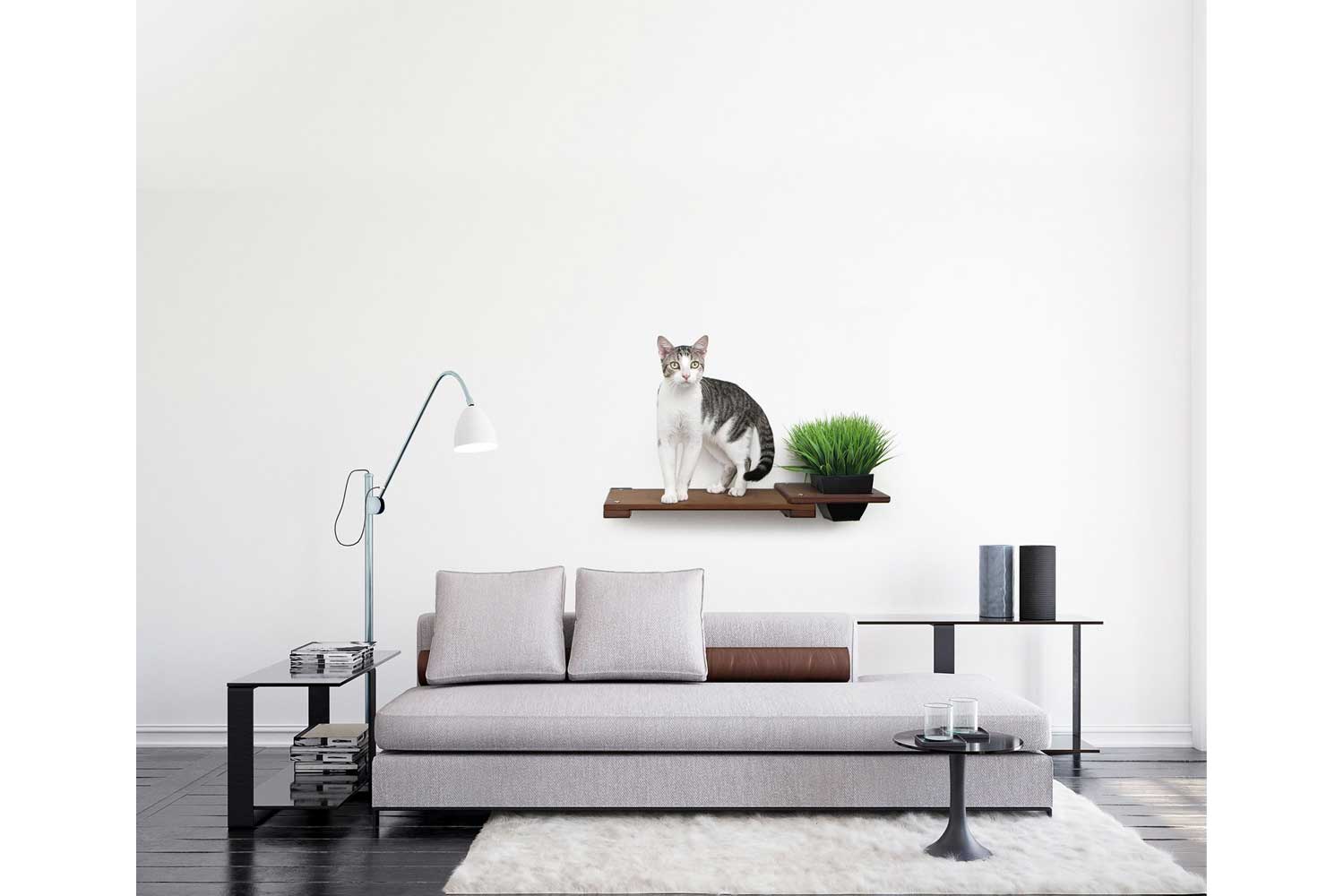 Cat Plant Stand for Wall - Image 5