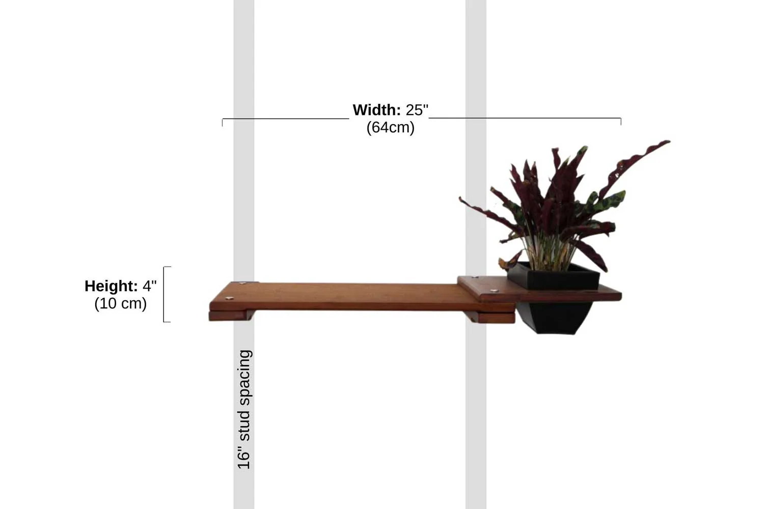 Cat Plant Stand for Wall - Image 6