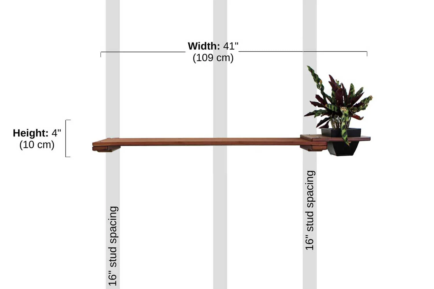 Cat Plant Stand for Wall - Image 7