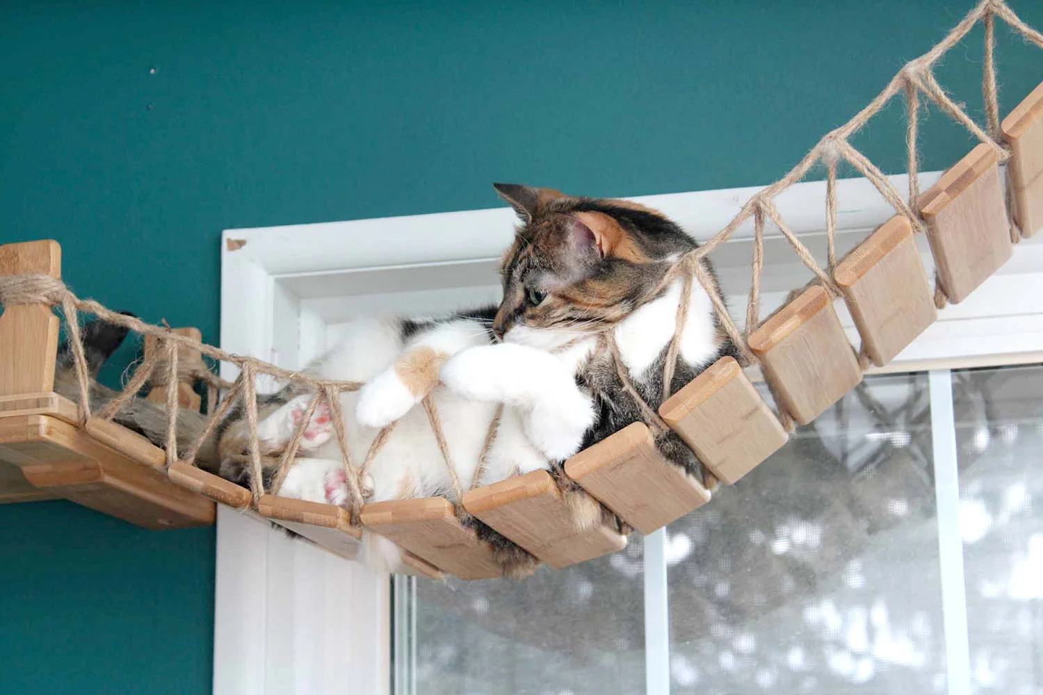 Cat Wall Bridge and Shelf Set - Image 10