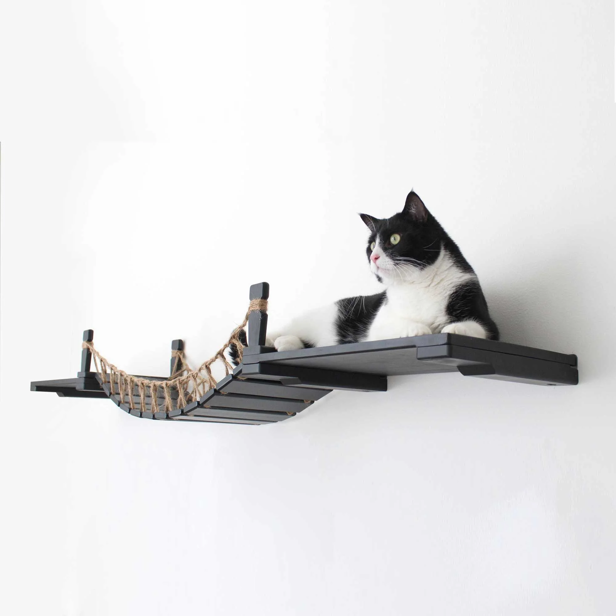 Cat Wall Bridge and Shelf Set - Image 24