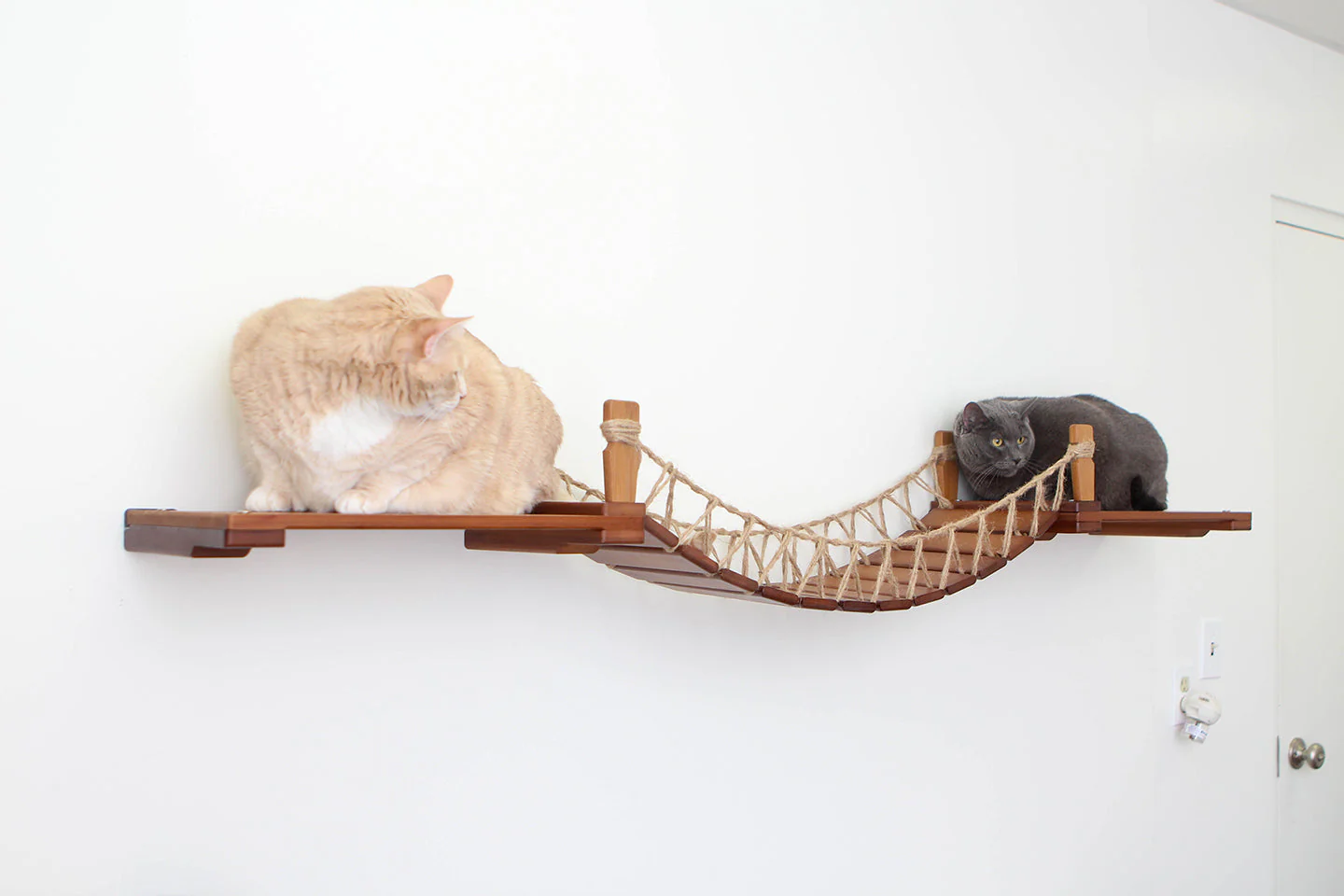 Cat Wall Bridge and Shelf Set - Image 30