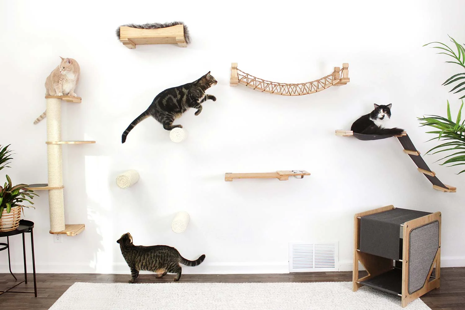 Cat Wall Bridge and Shelf Set - Image 8