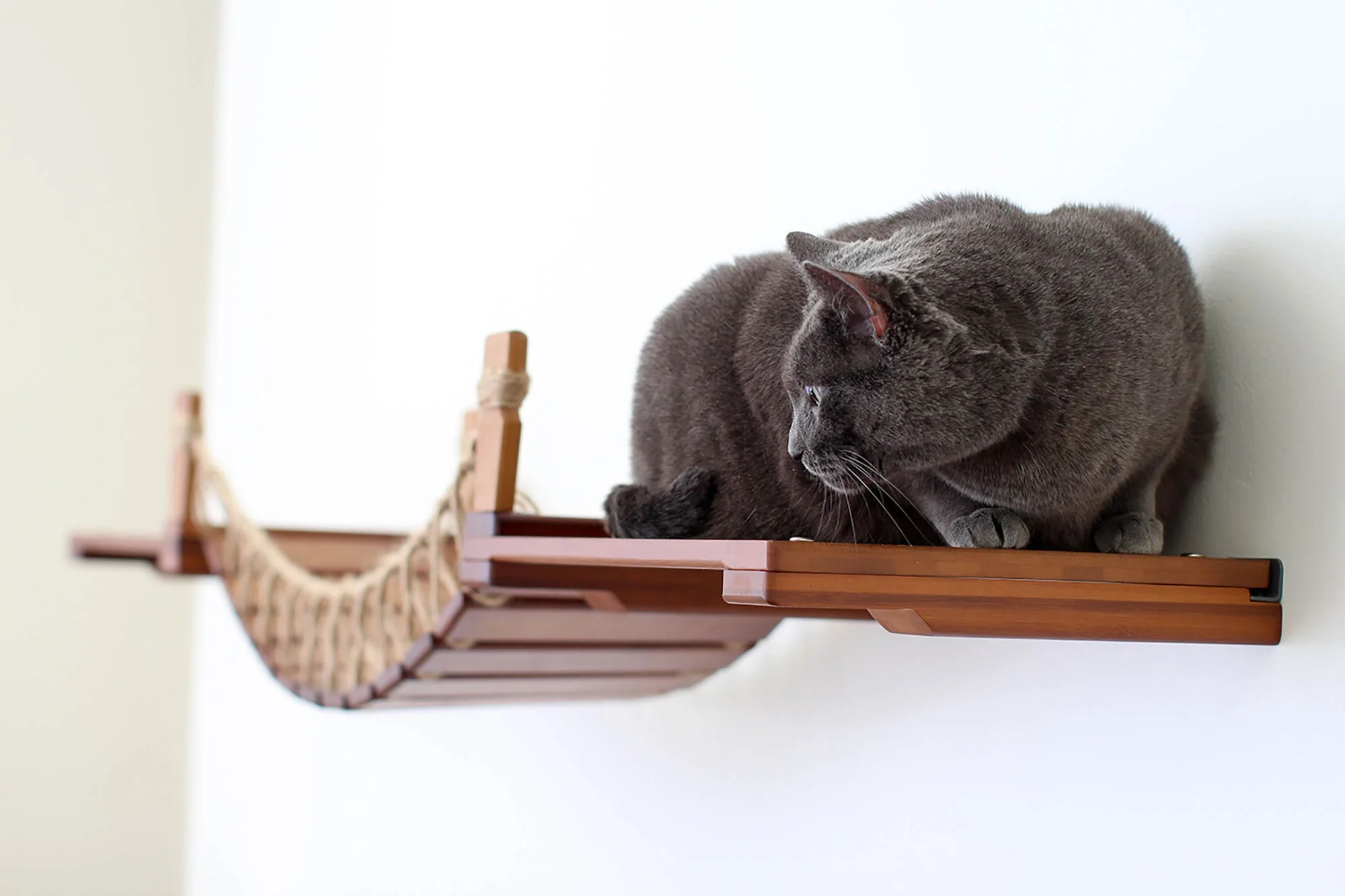 Cat Wall Bridge and Shelf Set - Image 9