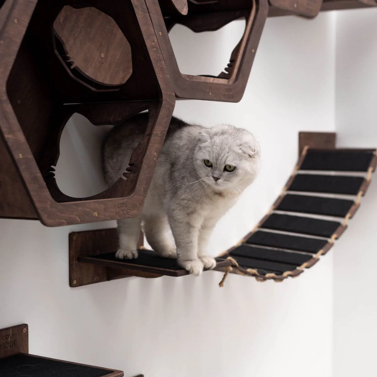 Cat Wood Bridge Dark Walnut - Image 4