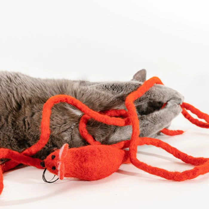Catch a Mouse by the Tail - Wool Cat Toy - Image 12