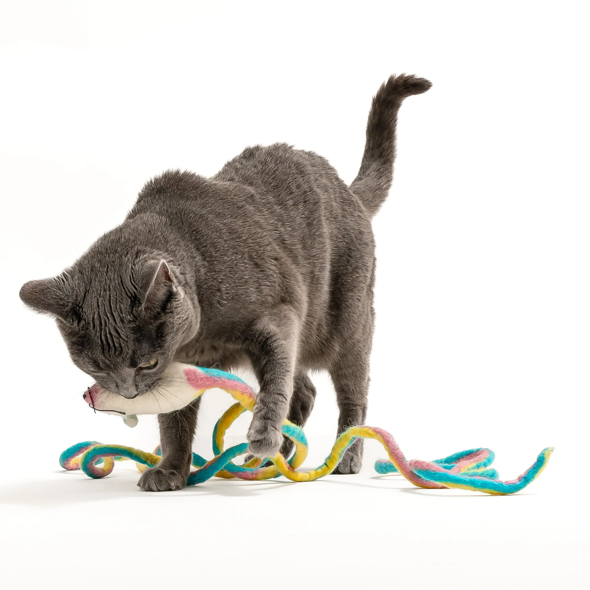 Catch a Mouse by the Tail - Wool Cat Toy - Image 15