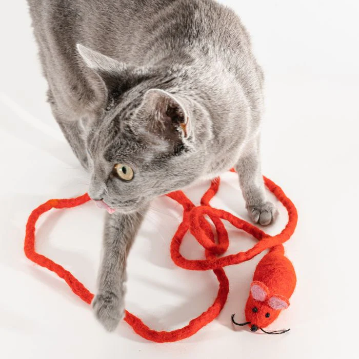 Catch a Mouse by the Tail - Wool Cat Toy - Image 16