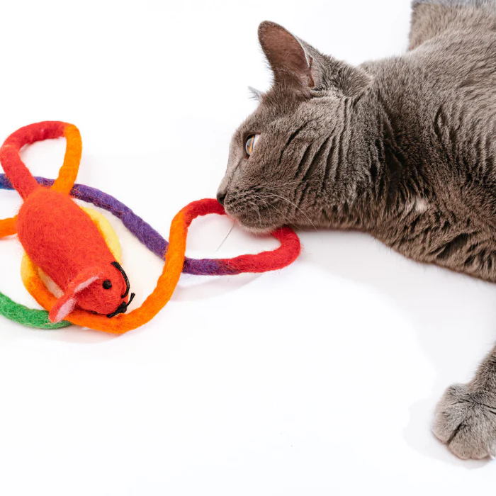 Catch a Mouse by the Tail - Wool Cat Toy - Image 17