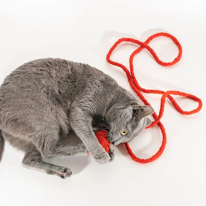 Catch a Mouse by the Tail - Wool Cat Toy - Image 19