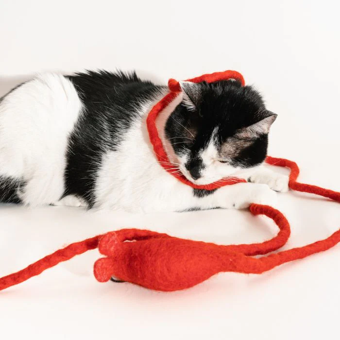 Catch a Mouse by the Tail - Wool Cat Toy - Image 21