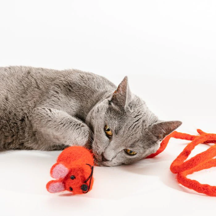 Catch a Mouse by the Tail - Wool Cat Toy - Image 29