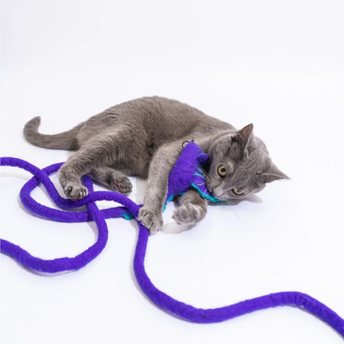 Catch a Mouse by the Tail - Wool Cat Toy - Image 30