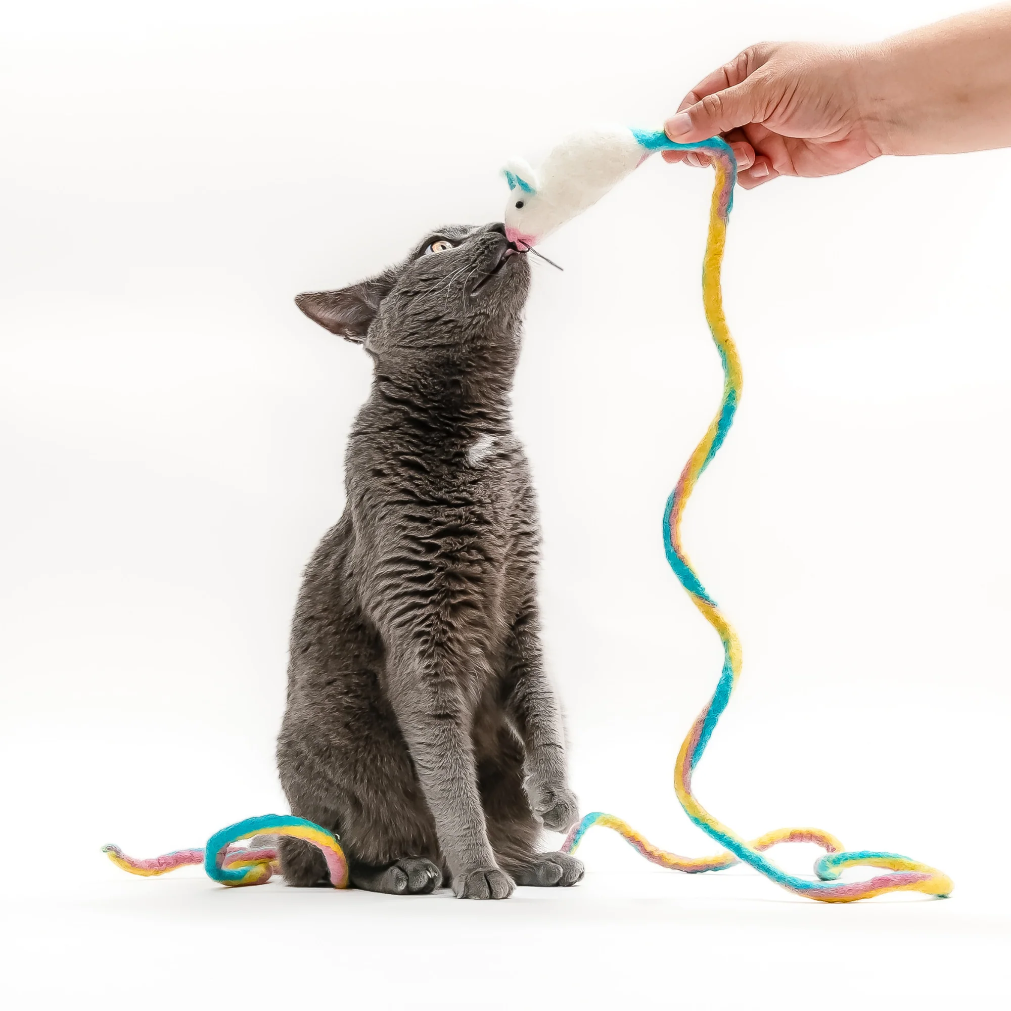 Catch a Mouse by the Tail - Wool Cat Toy - Image 7