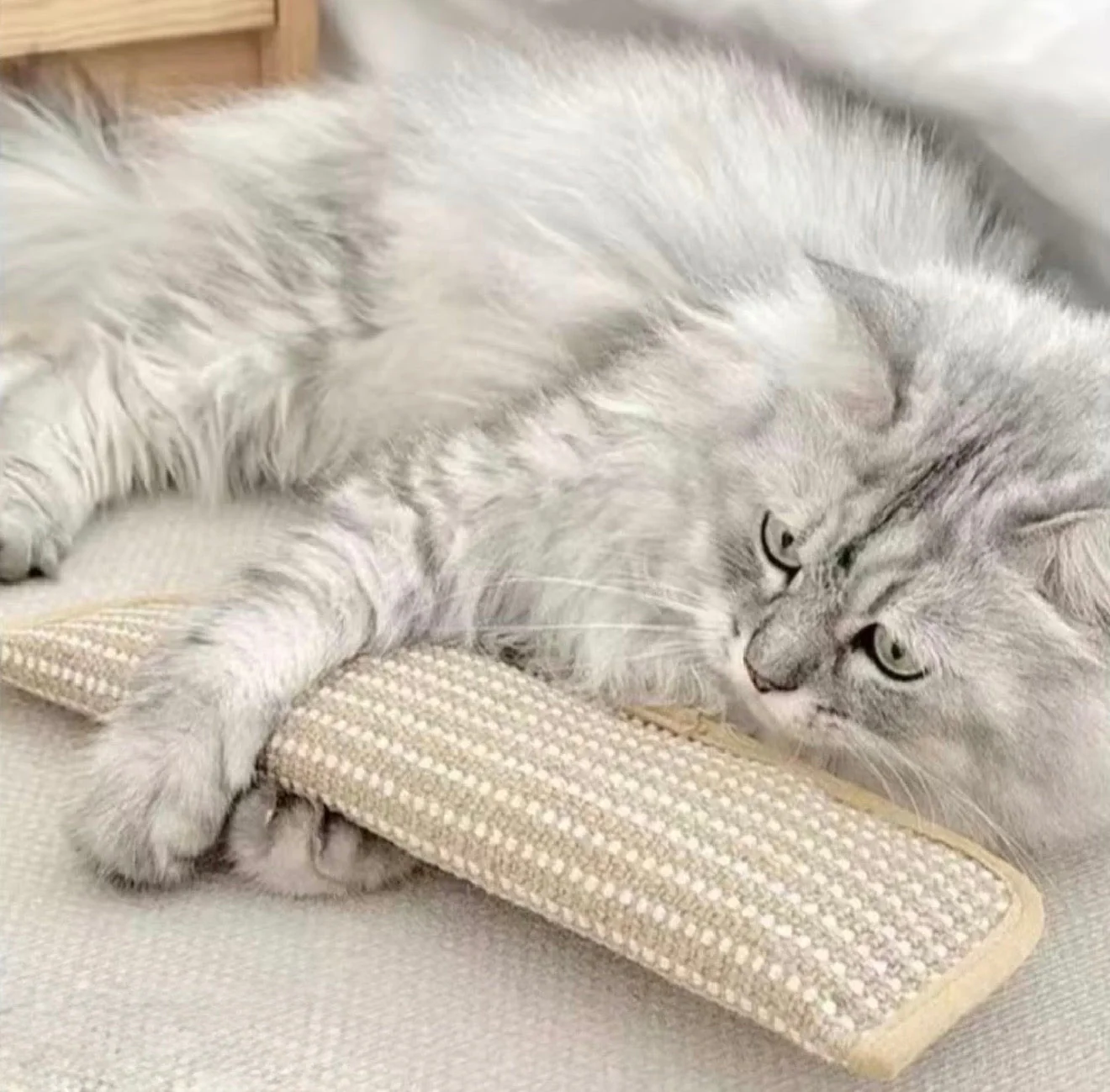CatNip Fury Kicker - Image 7