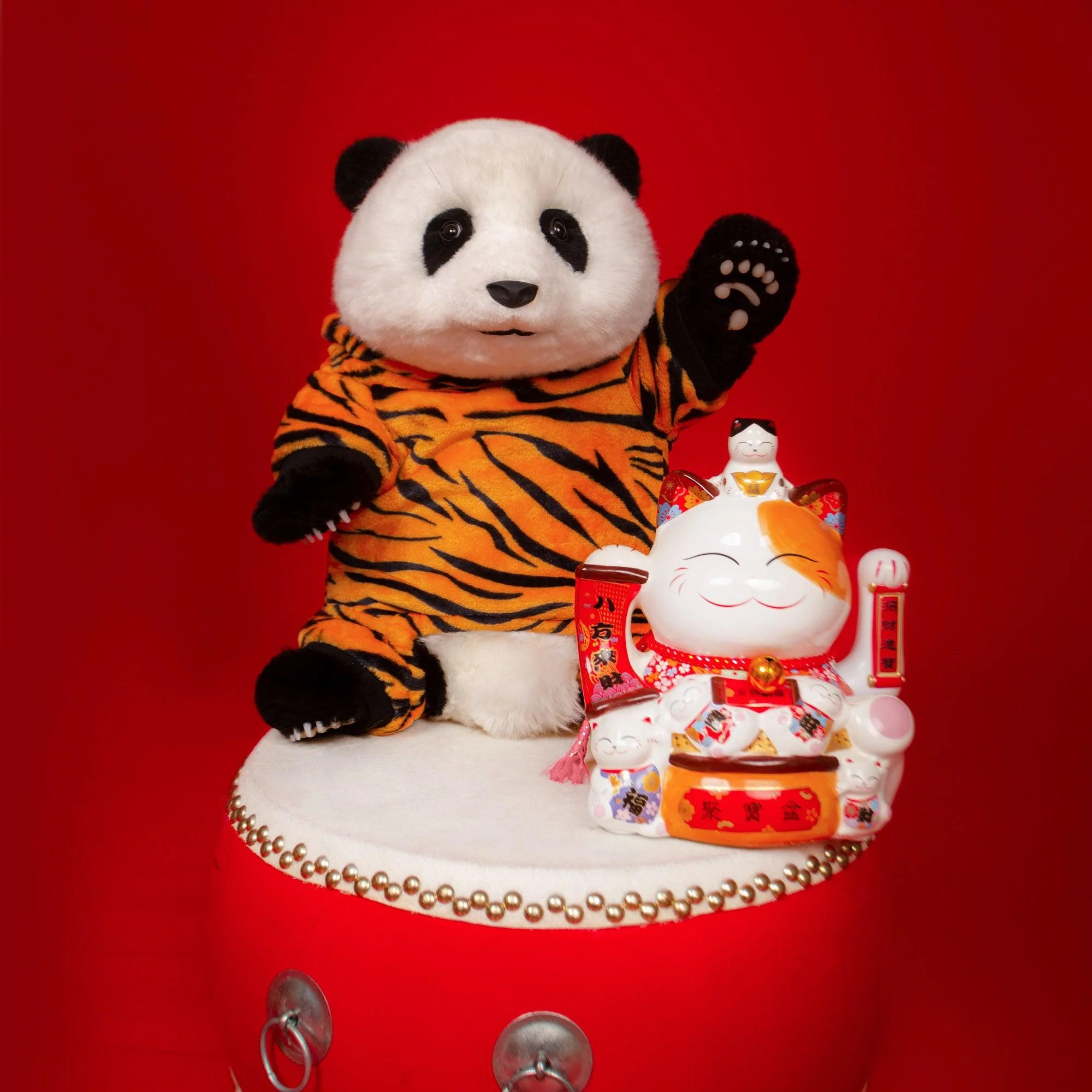Clothes of Sitting Pandas