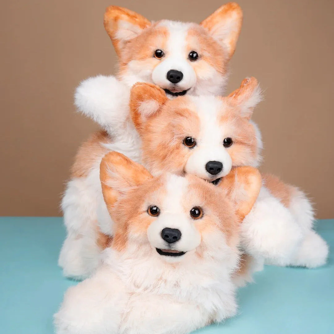 Corgi Dog Plush – Soft Gift for Dog Lovers & Kids - Image 15