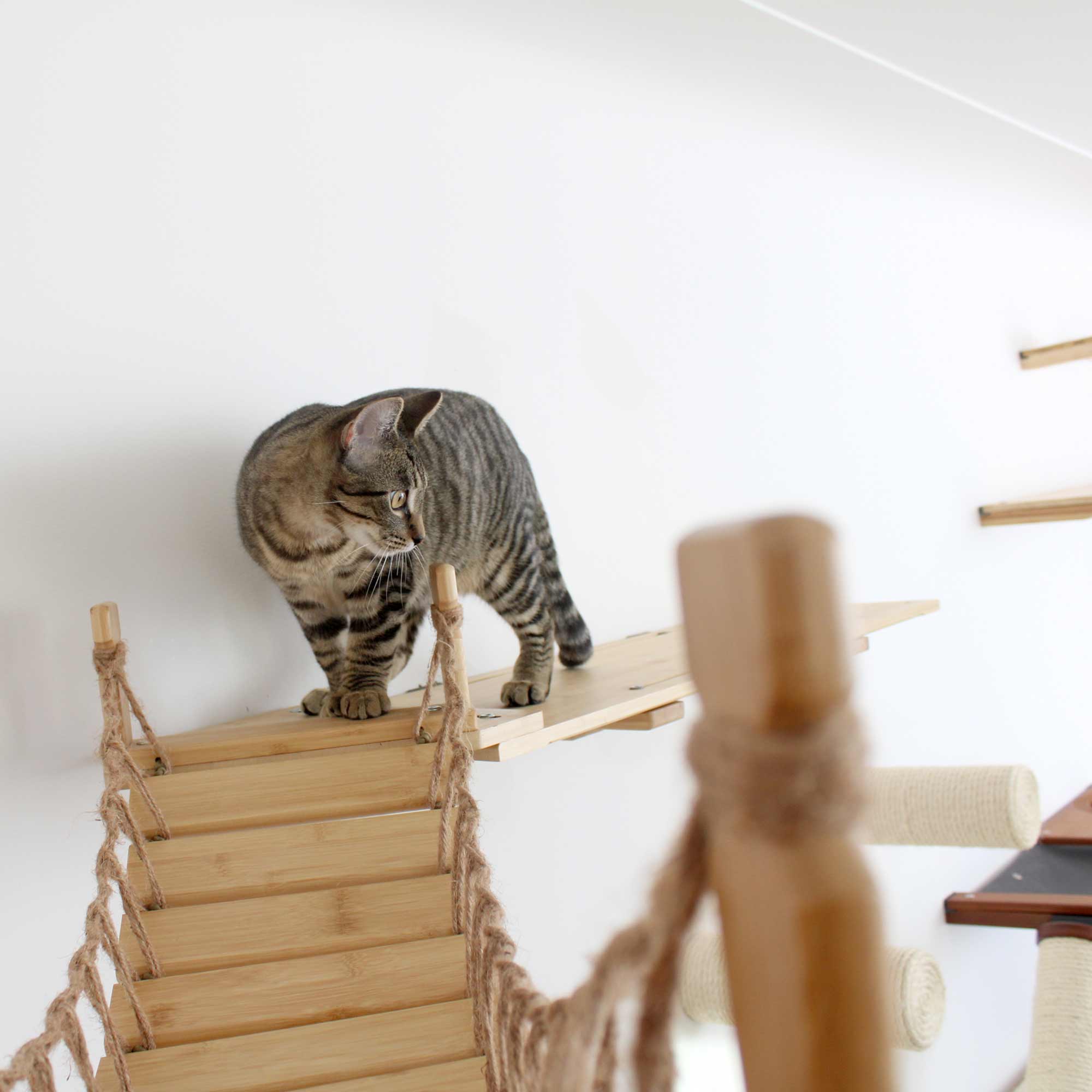 Corner Cat Shelf Bridge - Image 12