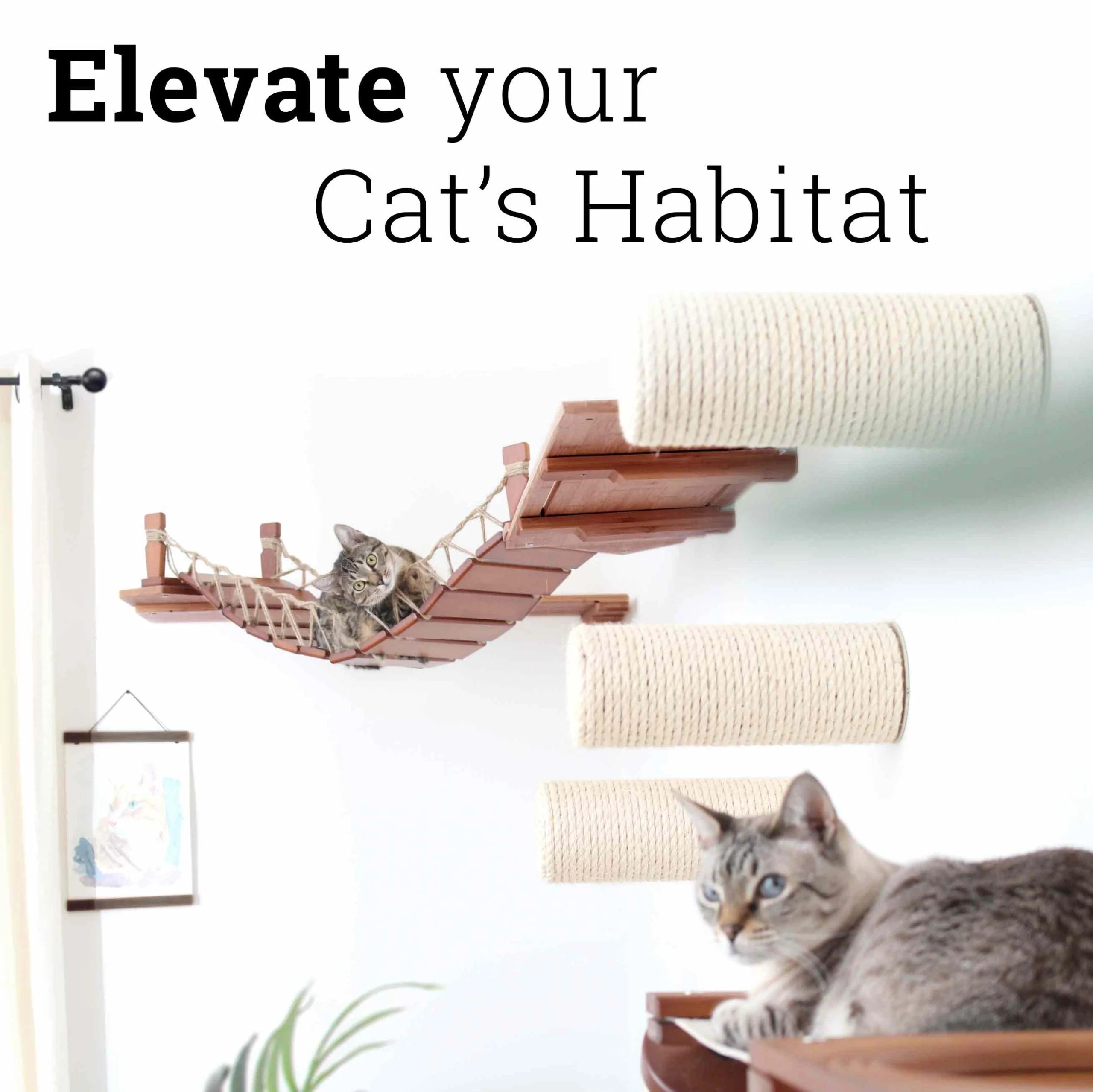 Corner Cat Shelf Bridge - Image 13