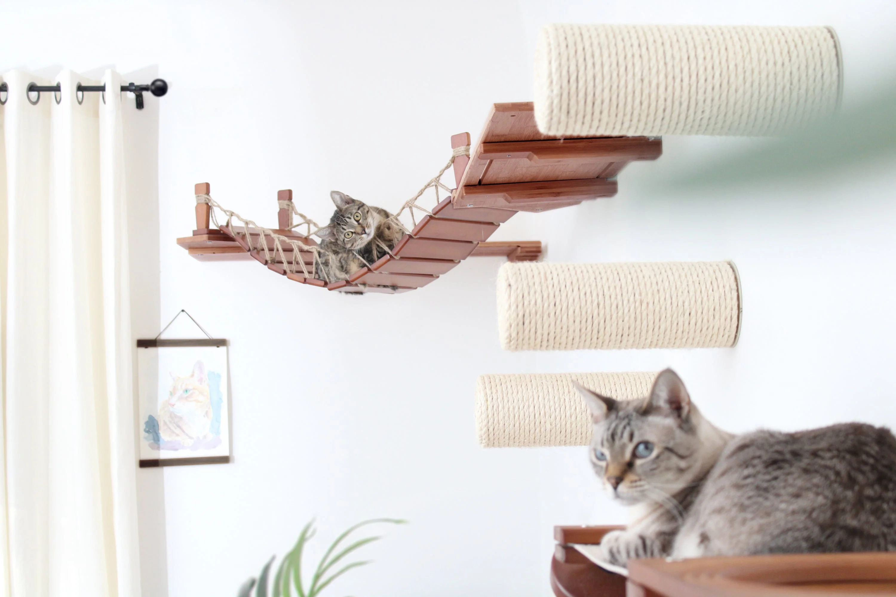 Corner Cat Shelf Bridge - Image 2