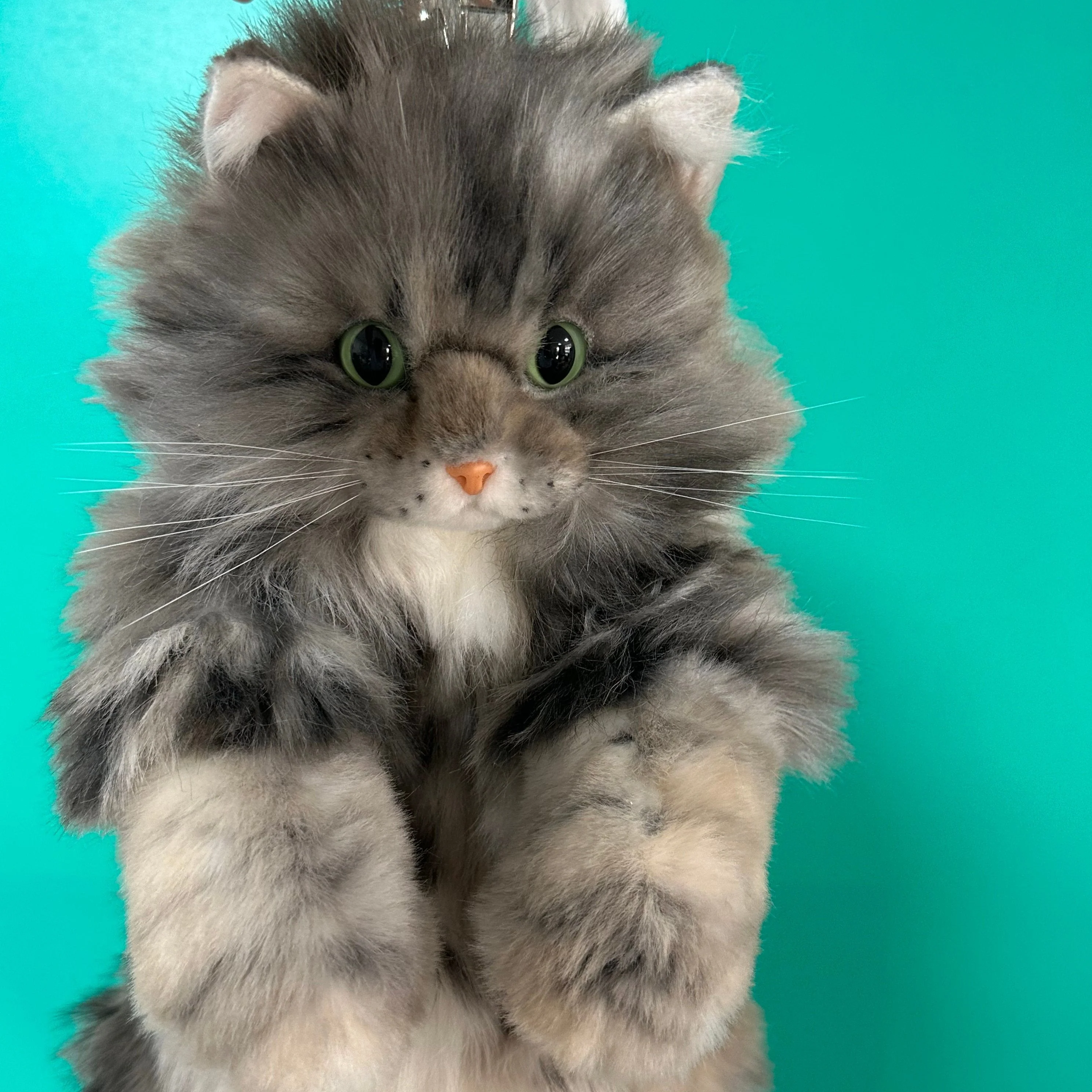 Custom Backpack (Long Hair Cat Only) - Image 4