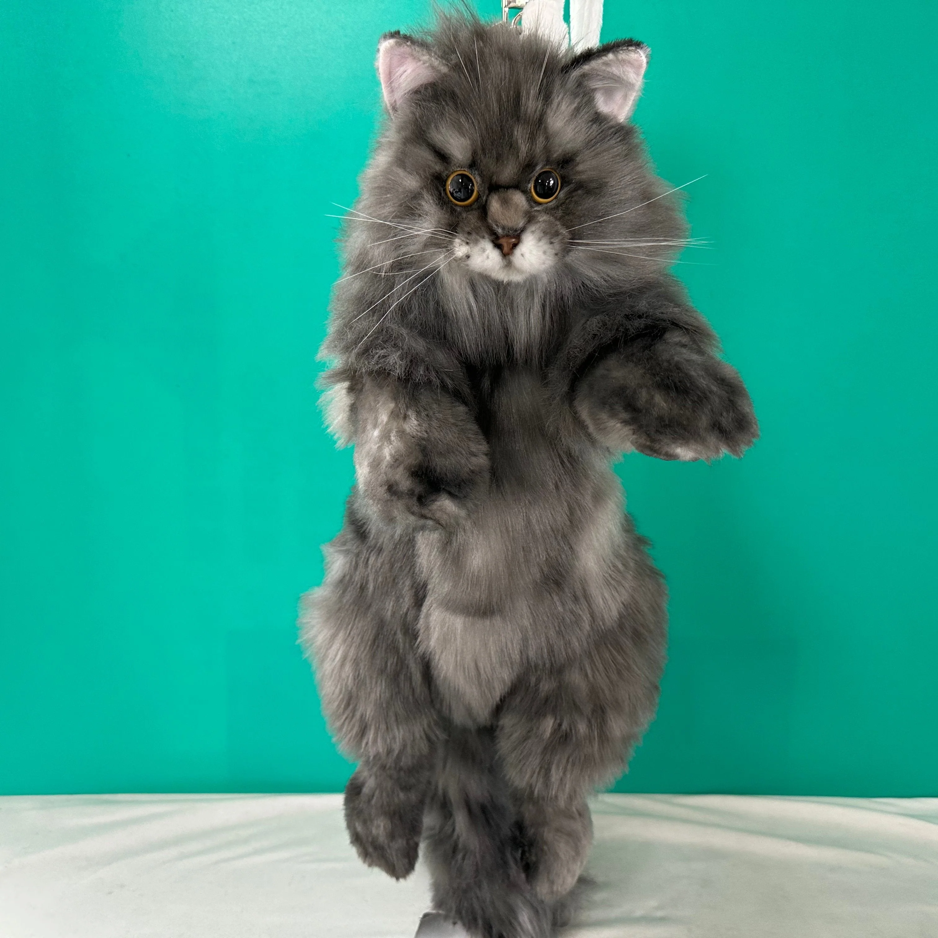 Custom Backpack (Long Hair Cat Only) - Image 5