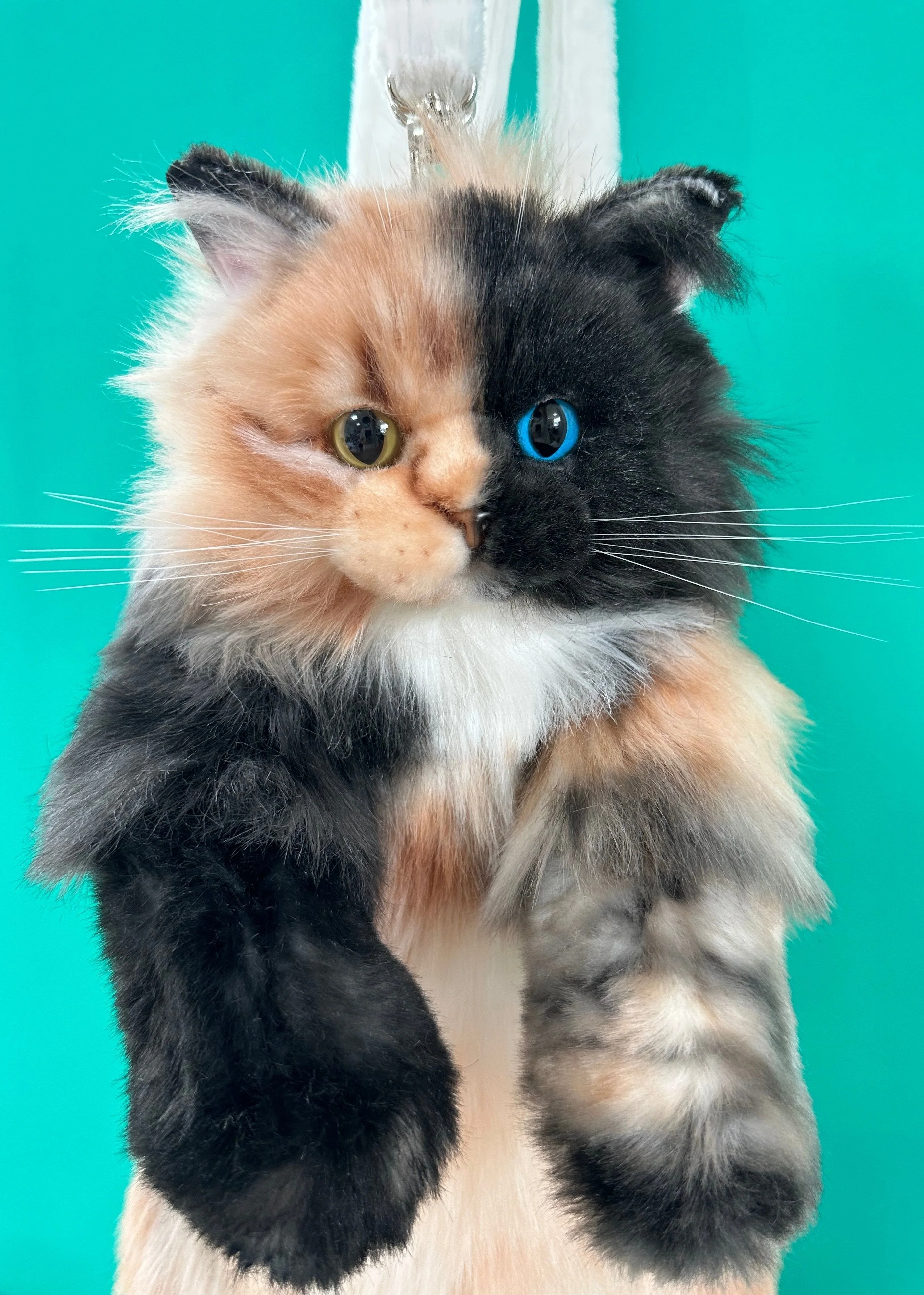Custom Backpack (Long Hair Cat Only) - Image 6