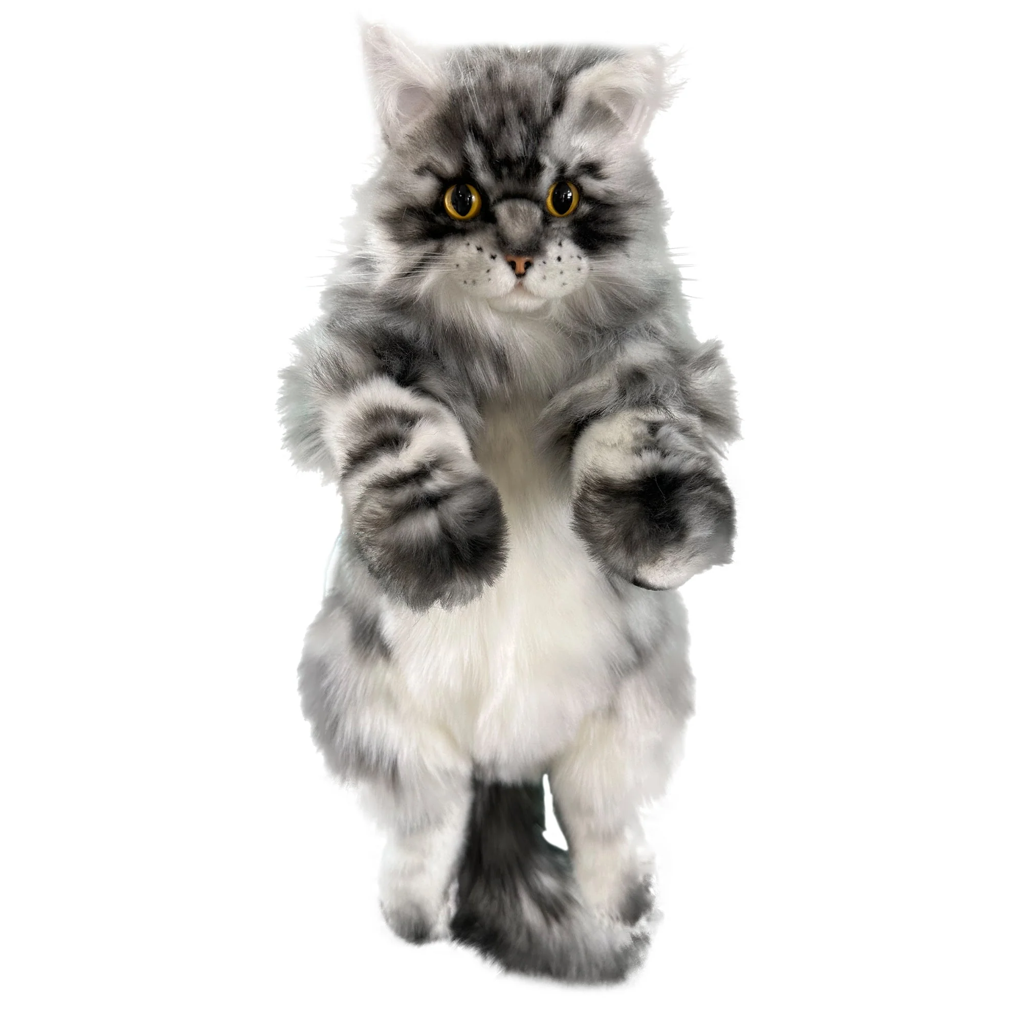 Custom Backpack (Long Hair Cat Only) - Image 7