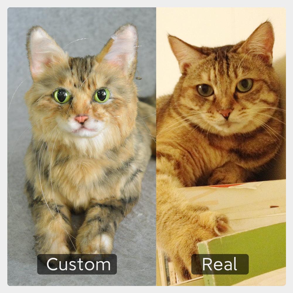 Custom Stuffed Pet – Realistic Plush Memorial Gift Keepsake - Image 6
