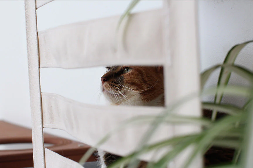 Deluxe Cat Cubby Bed - Image 6