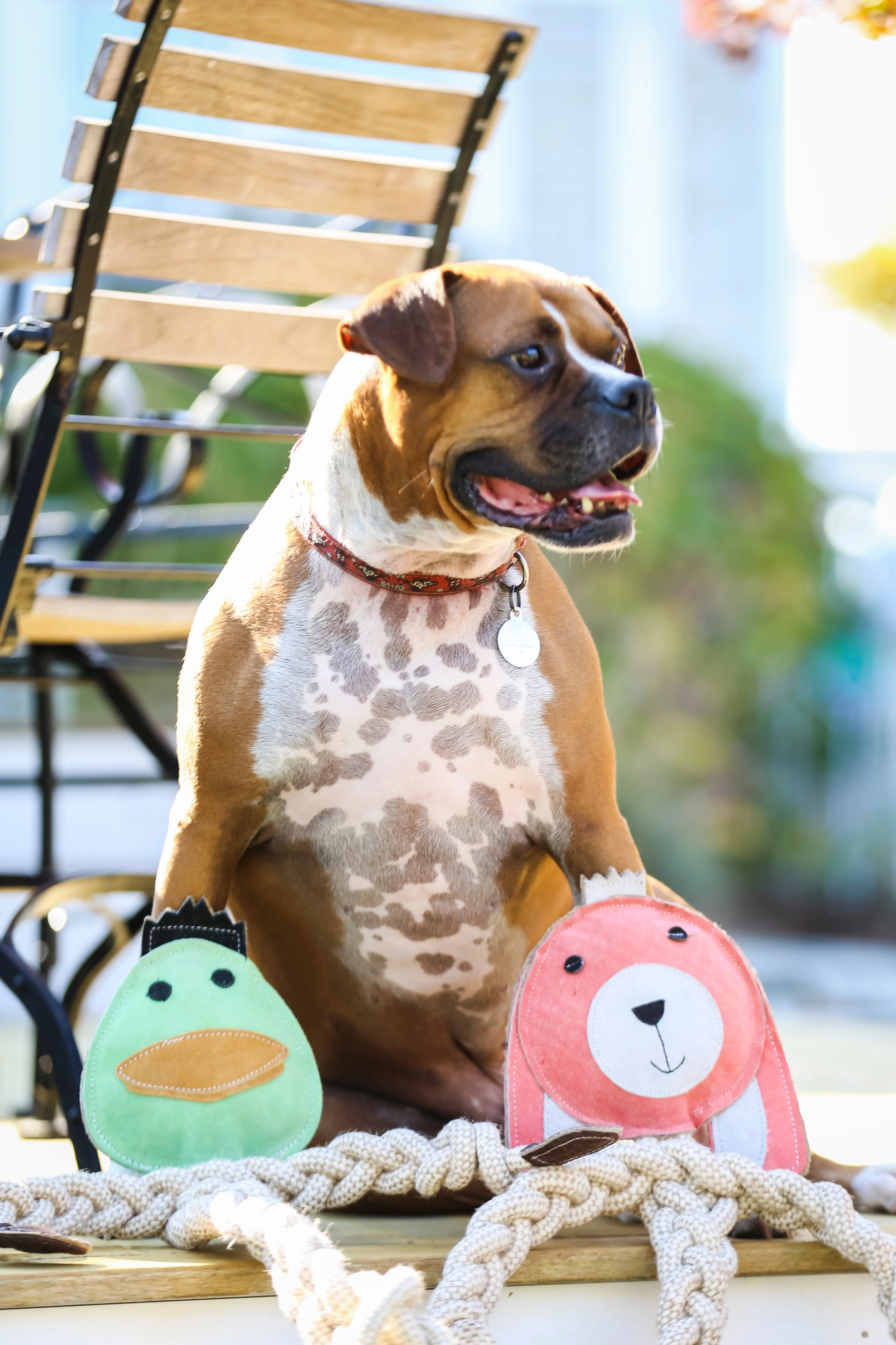 Dilly Duck Natural Rope KnottieĀ® Dog Toy, Large (9mm diameter) - Image 4