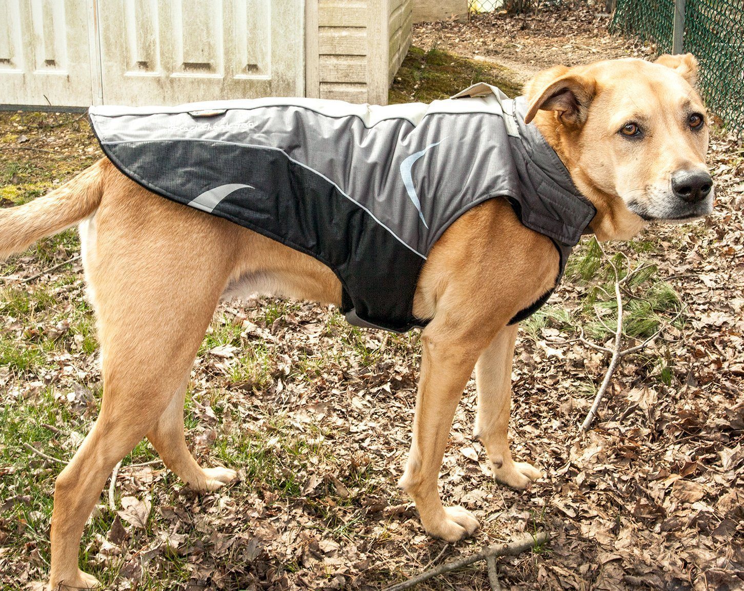 Dog Helios ® Altitude-Mountaineer Wrap-Hook-and-Loop Waterproof Dog Coat - Image 14