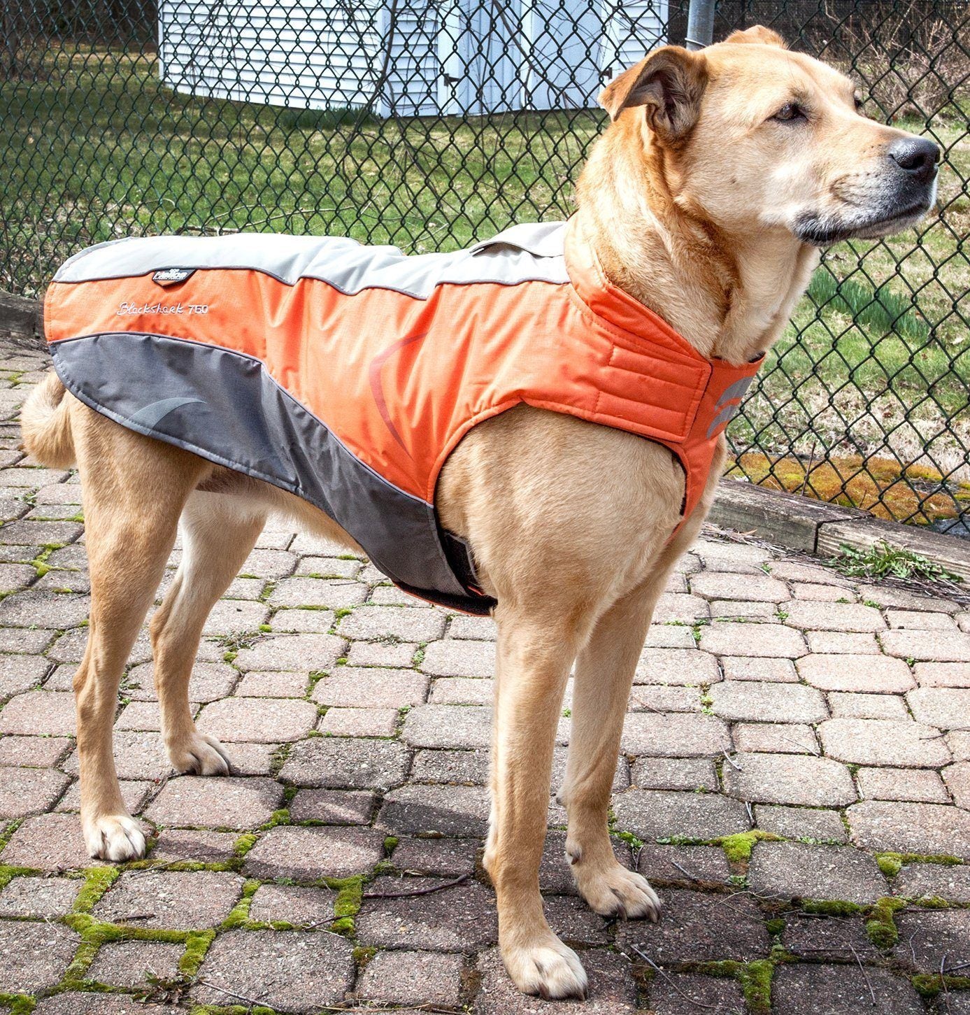 Dog Helios ® Altitude-Mountaineer Wrap-Hook-and-Loop Waterproof Dog Coat - Image 15