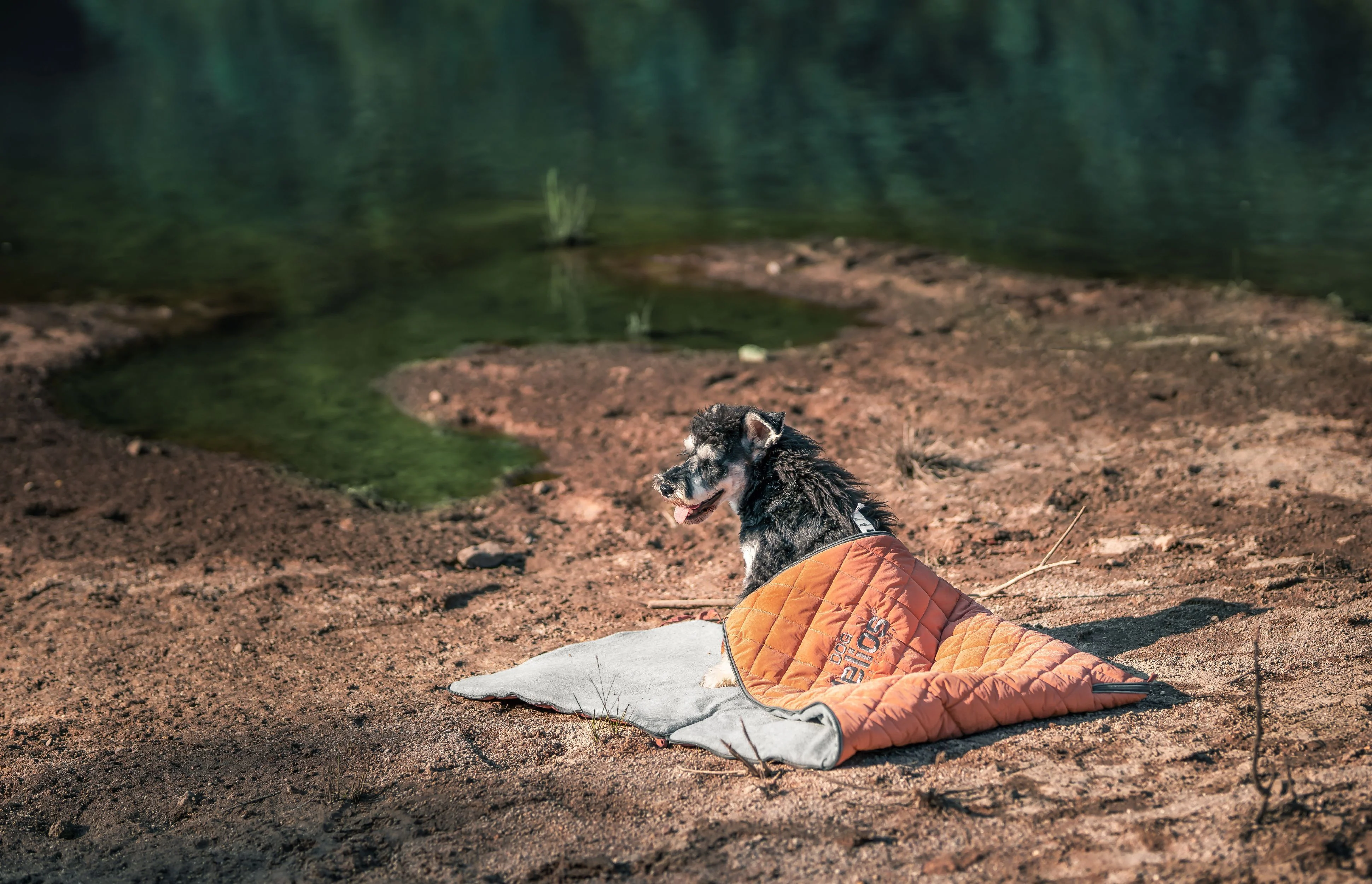 Dog Helios ® 'Boulder-Trek' 3-in-1 Expandable Surface Outdoor Travel Camping Dog Mat - Image 5