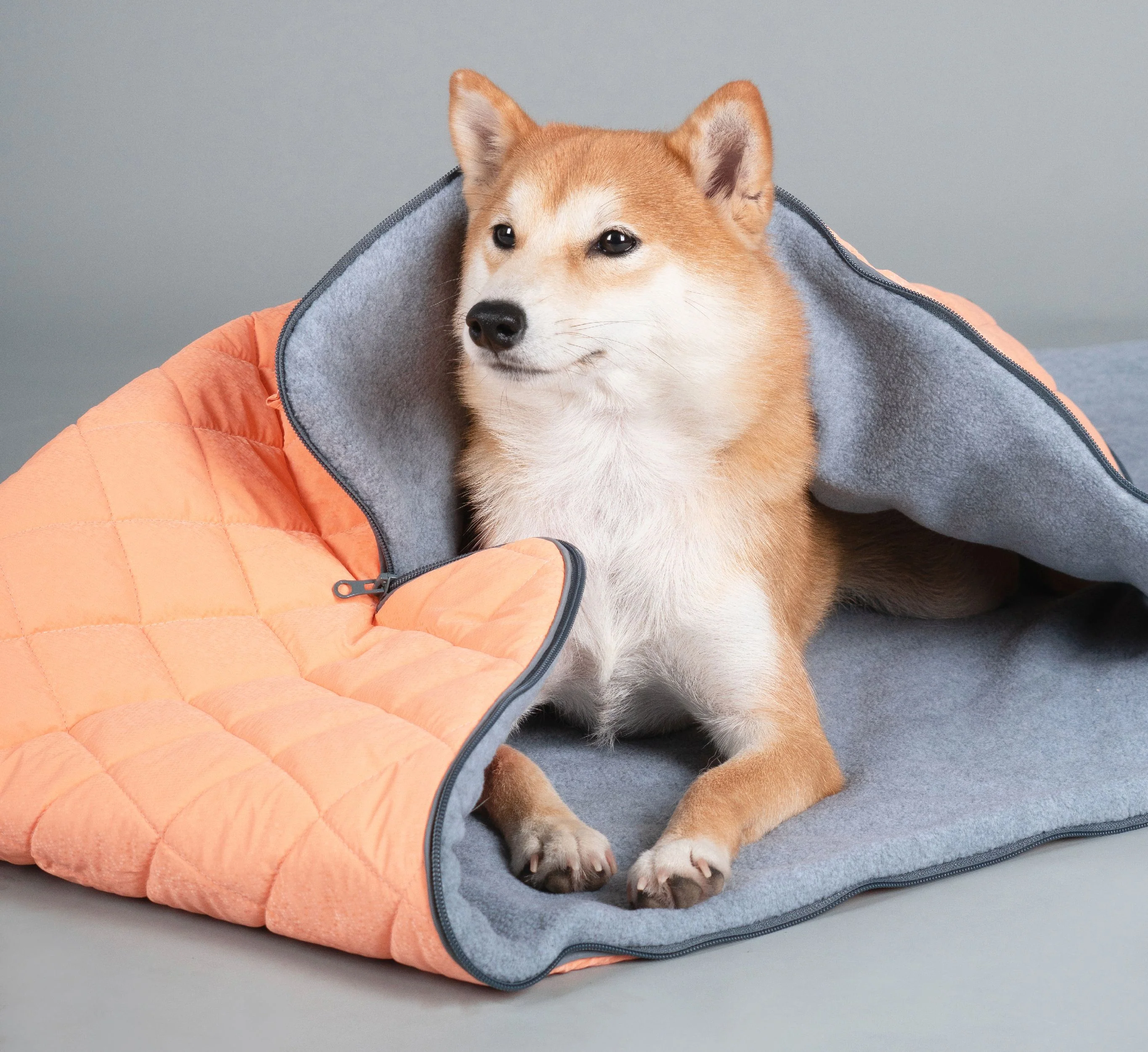 Dog Helios ® 'Boulder-Trek' 3-in-1 Expandable Surface Outdoor Travel Camping Dog Mat - Image 6