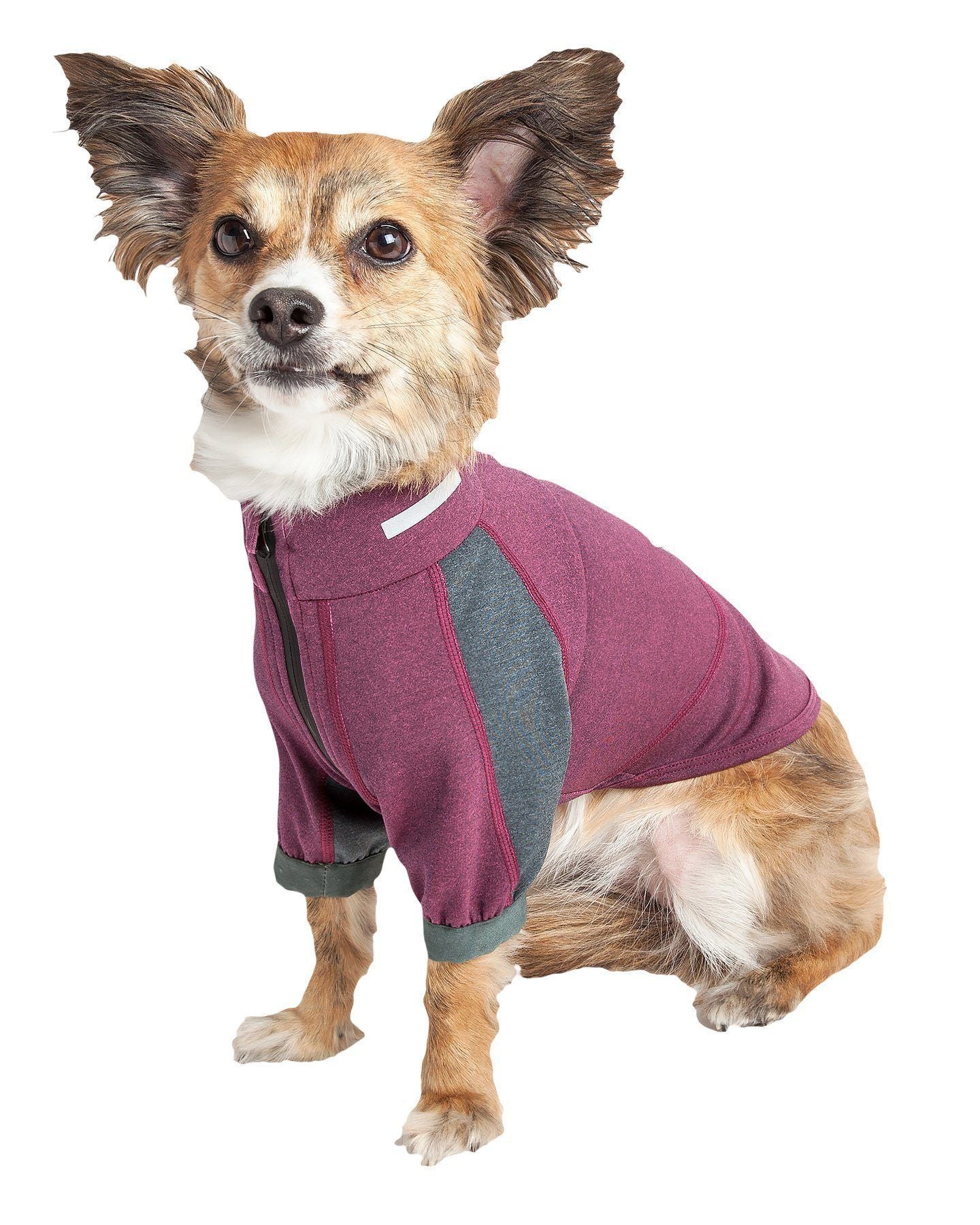 Dog Helios ® 'Eboneflow' Mediumweight 4-Way-Stretch Flexible And Breathable Performance Dog Yoga T-Shirt - Image 17