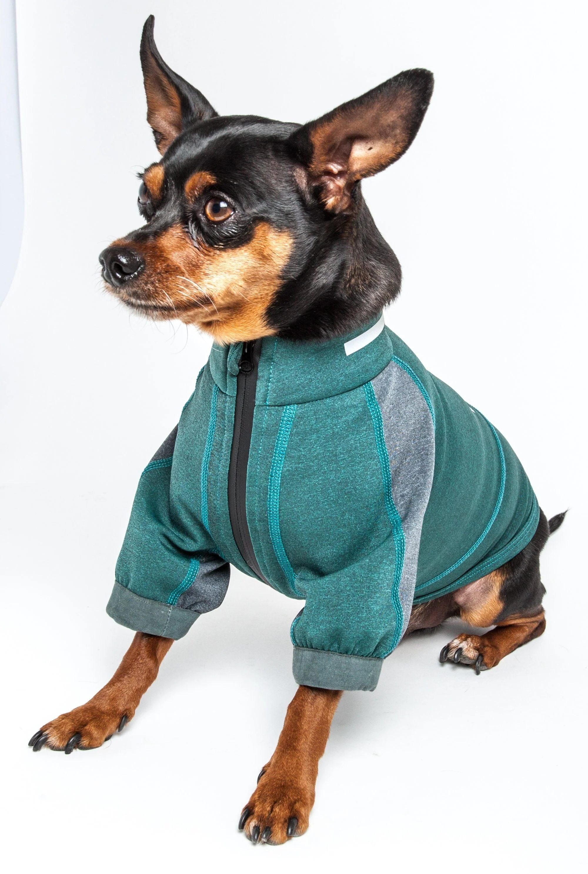 Dog Helios ® 'Eboneflow' Mediumweight 4-Way-Stretch Flexible And Breathable Performance Dog Yoga T-Shirt - Image 19