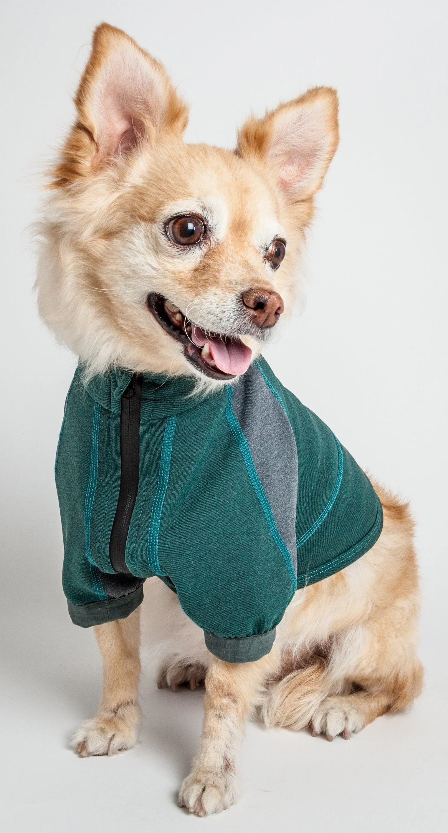 Dog Helios ® 'Eboneflow' Mediumweight 4-Way-Stretch Flexible And Breathable Performance Dog Yoga T-Shirt - Image 21