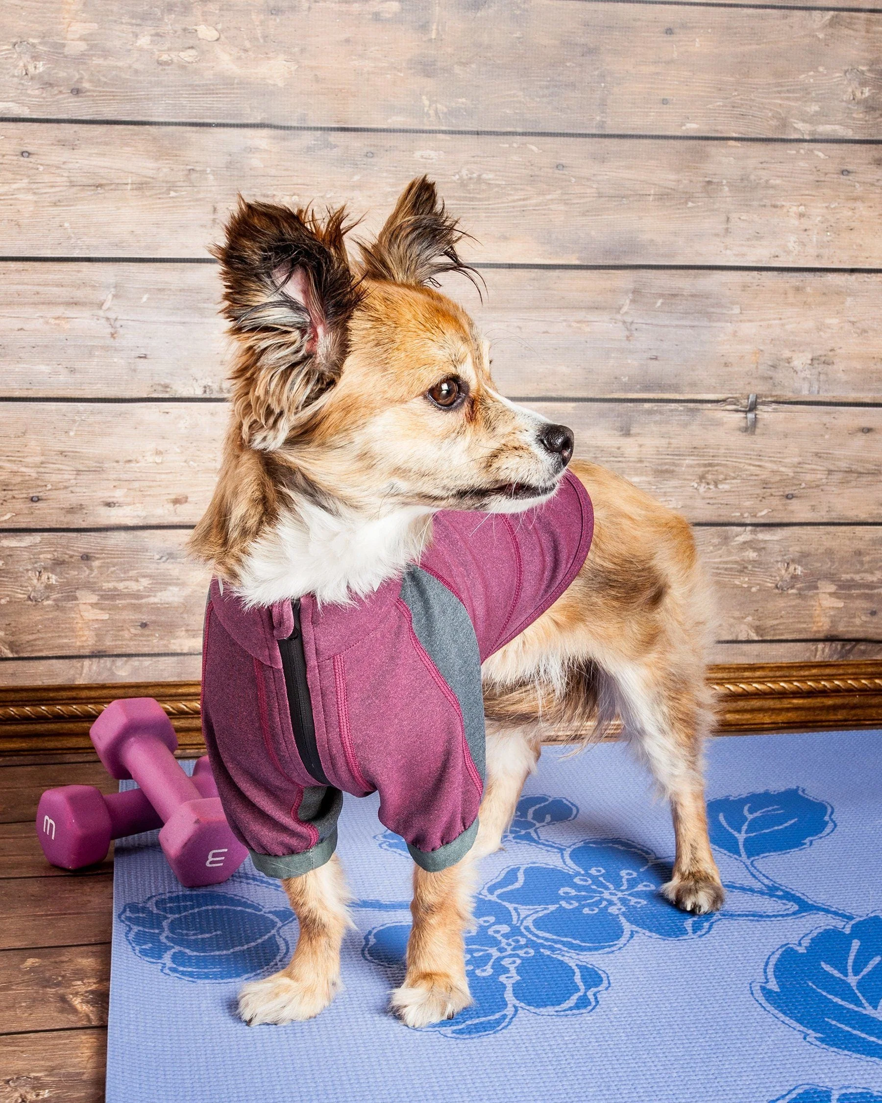 Dog Helios ® 'Eboneflow' Mediumweight 4-Way-Stretch Flexible And Breathable Performance Dog Yoga T-Shirt - Image 25