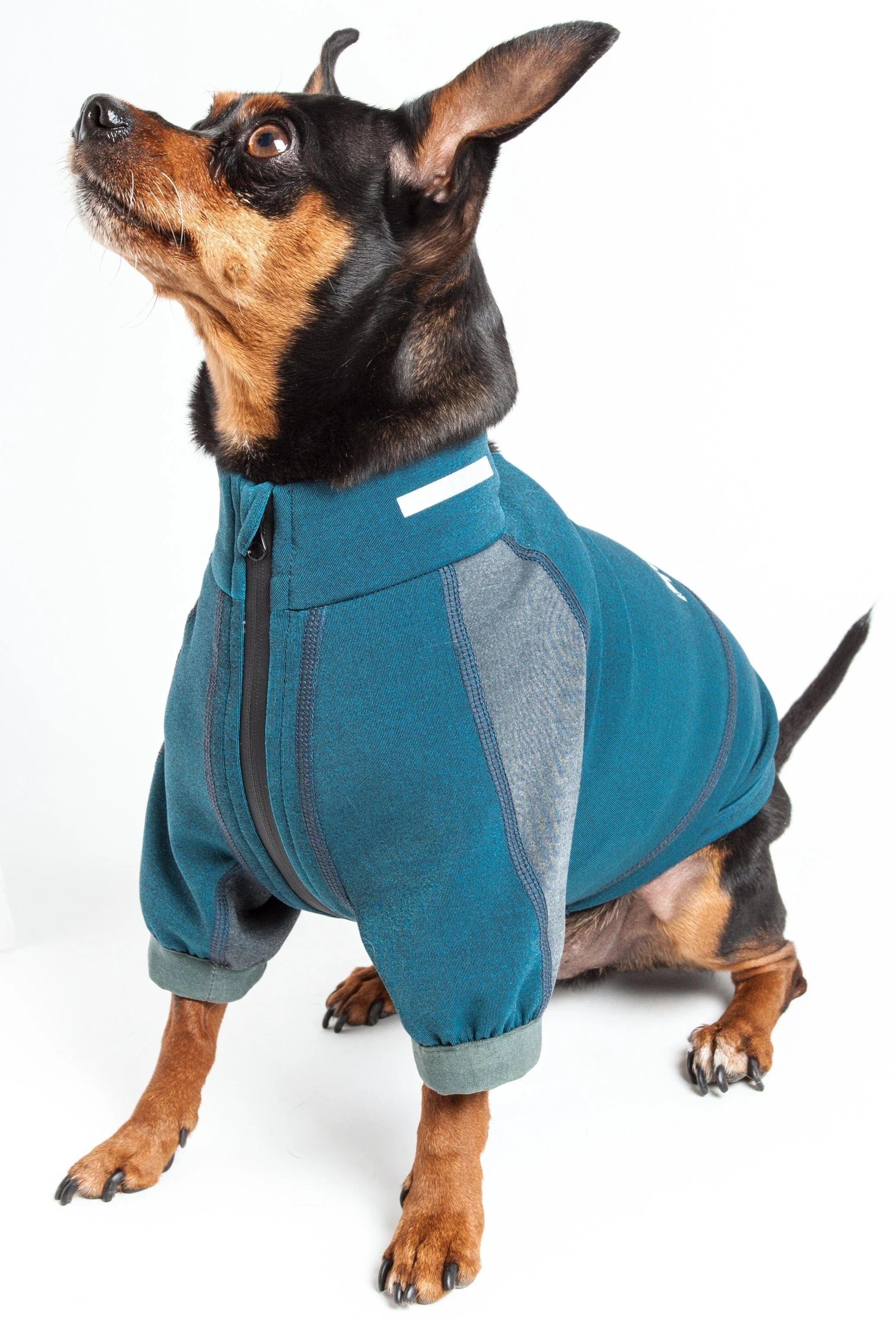 Dog Helios ® 'Eboneflow' Mediumweight 4-Way-Stretch Flexible And Breathable Performance Dog Yoga T-Shirt - Image 3