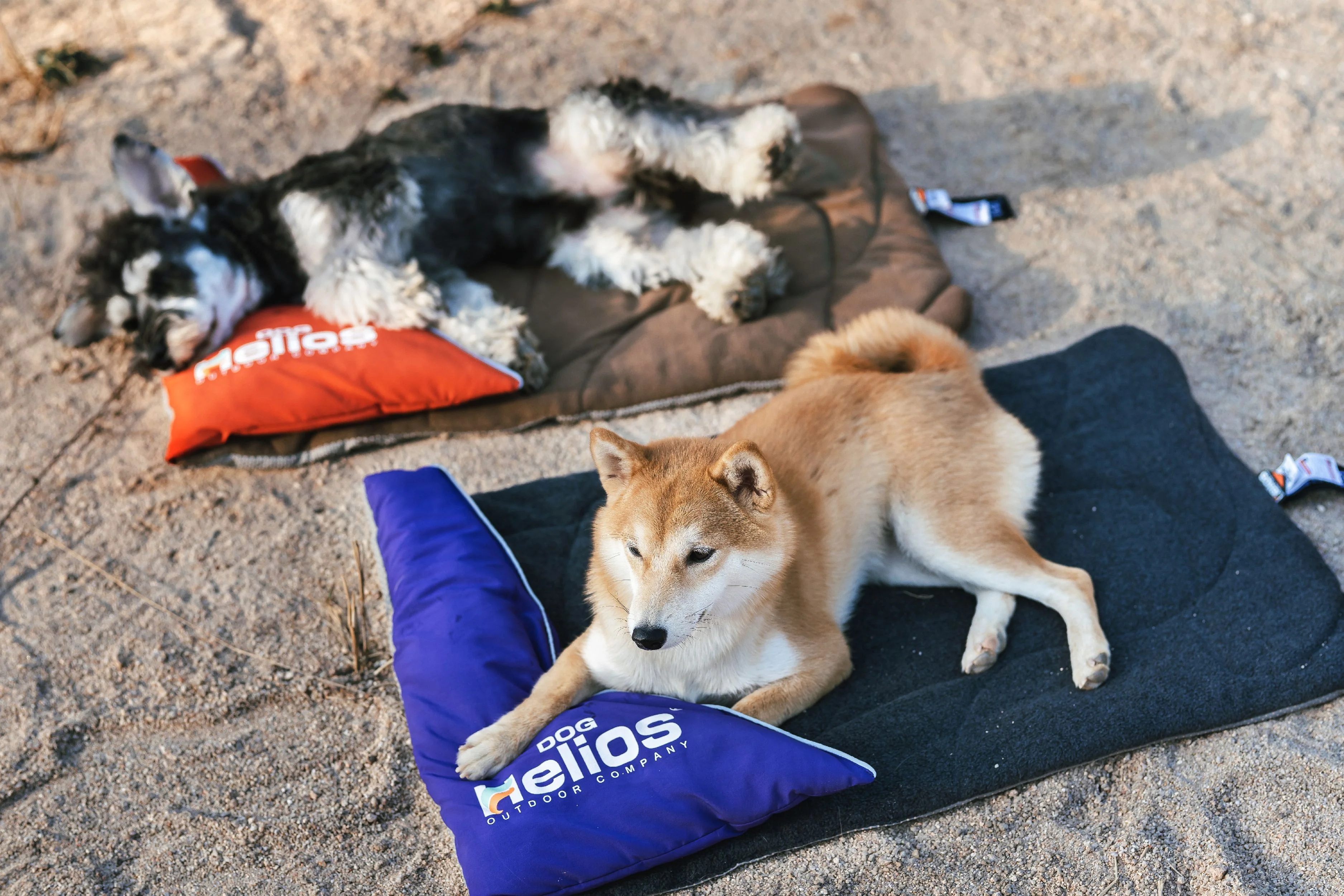 Dog Helios ® 'Expedition' Sporty Travel Camping Pillow Dog Bed - Image 5