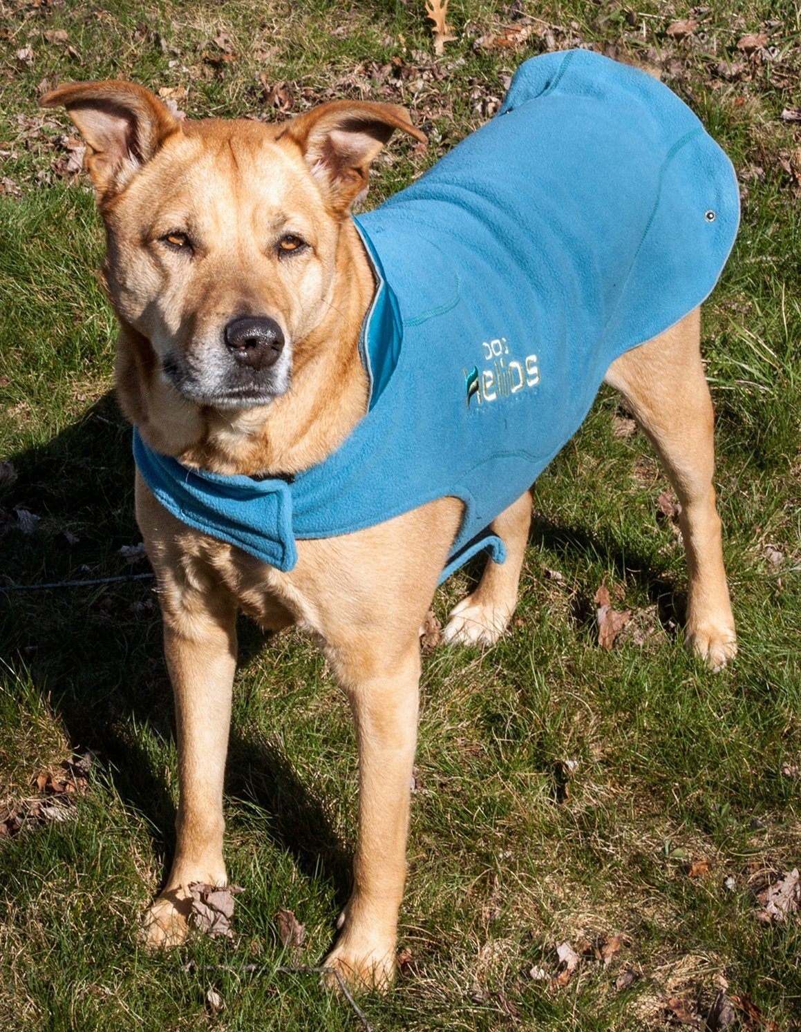 Dog Helios ® Lotus-Rusher 2-in-1 Dual-Removable Layered Performance Dog Jacket - Image 11