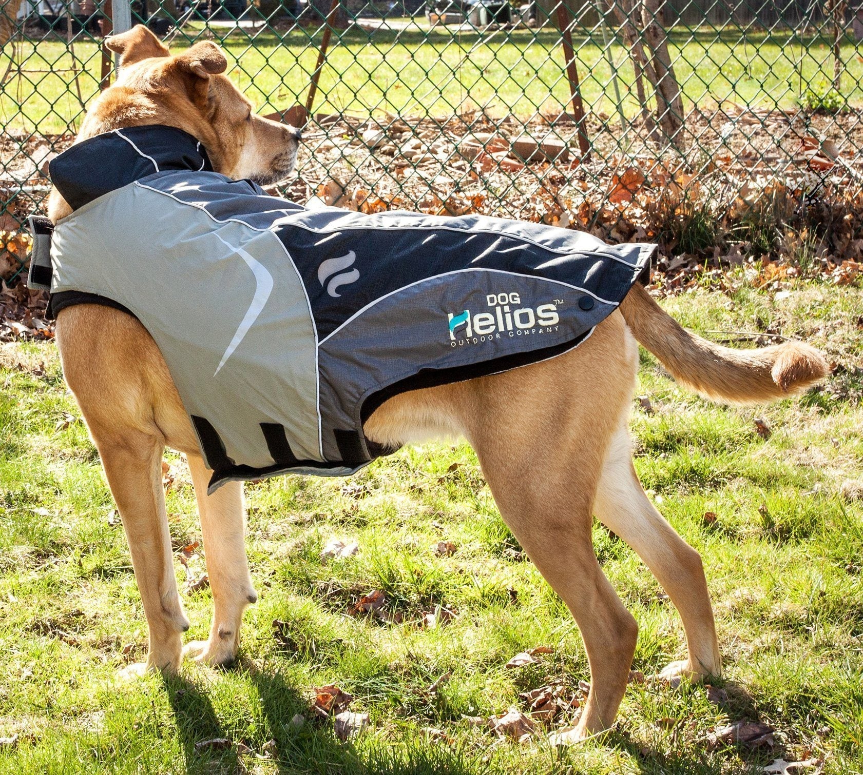 Dog Helios ® Lotus-Rusher 2-in-1 Dual-Removable Layered Performance Dog Jacket - Image 12
